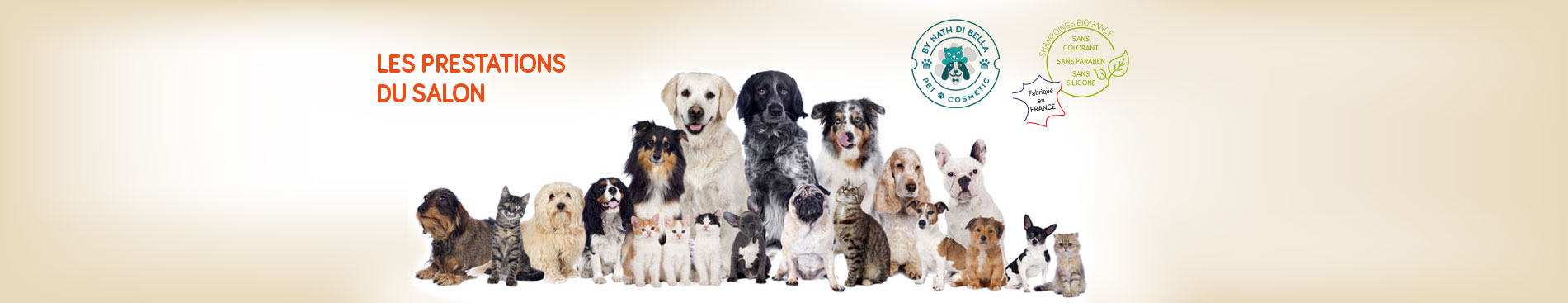 Salon de toilettage pour chiens et chats toutes tailles, Sainte Catherine, Arras