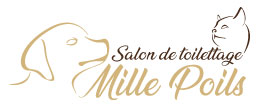 Salon de Toilettage Mille Poils Sainte Catherine Arras