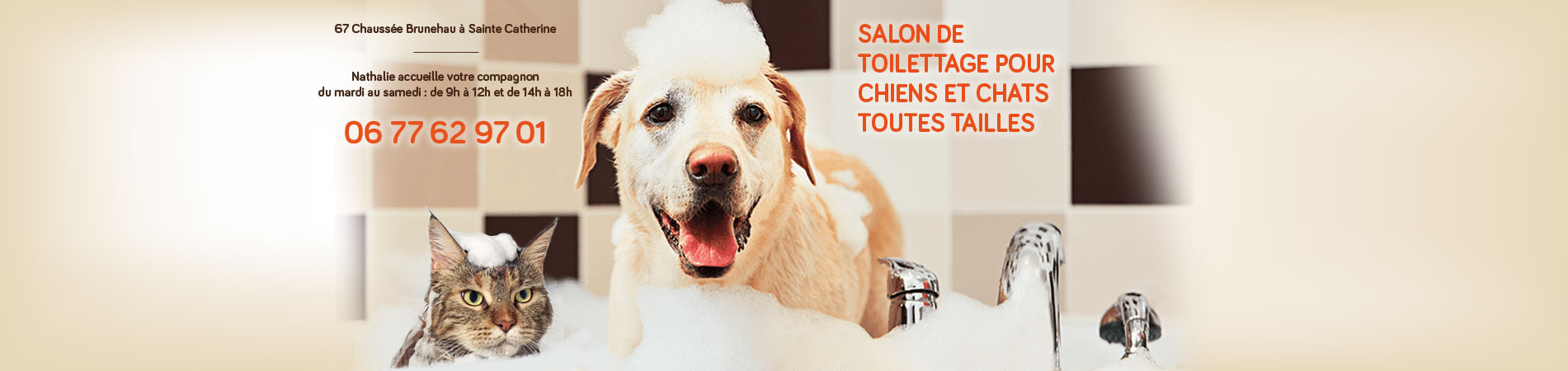 Salon de toilettage pour chiens et chats toutes tailles, Sainte Catherine, Arras