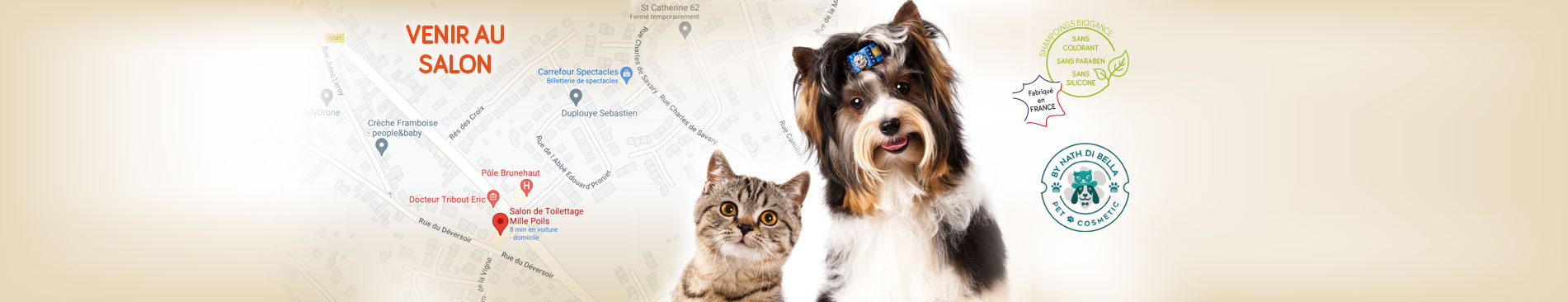 Salon de toilettage pour chiens et chats toutes tailles, Sainte Catherine, Arras